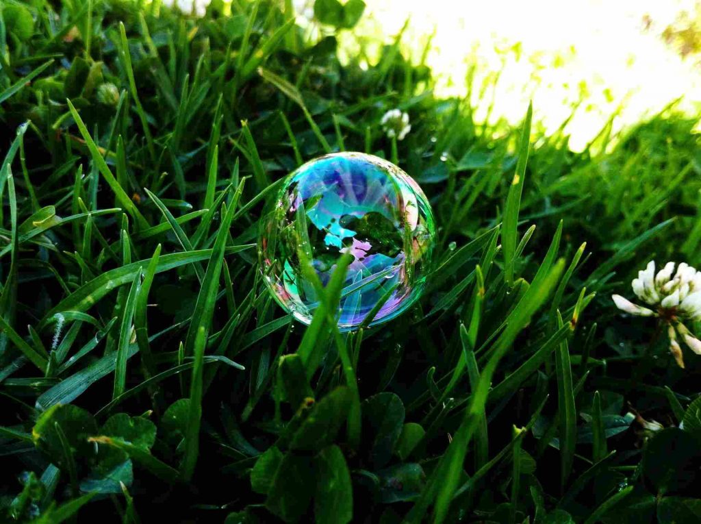 Lawn Bubbles Under Grass: Know All About Benefits, Removal Of Lawn Blisters