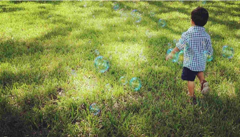 Lawn Bubbles Under Grass: Know All About Benefits, Removal Of Lawn Blisters 1